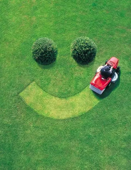 Residential lawn makeover in Painted Post NY — aerial view of a perfectly groomed front lawn with crisp edges and vibrant green grass